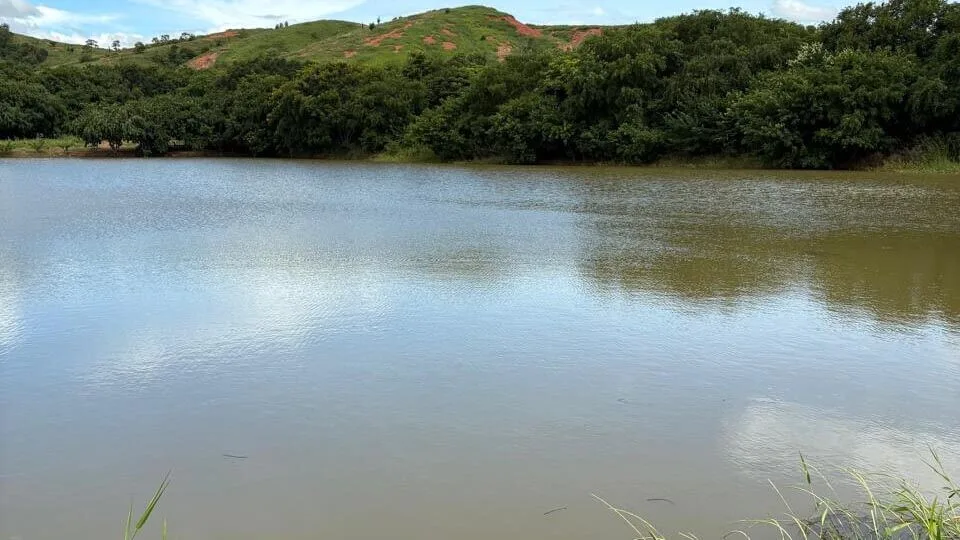 Chácara Alto Padrão à venda – Alpercata (2)