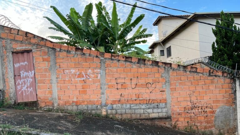 WhatsApp Image 2026-02-24 at 15.32.55 (1)