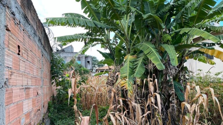 WhatsApp Image 2026-02-24 at 15.32.56 (1)