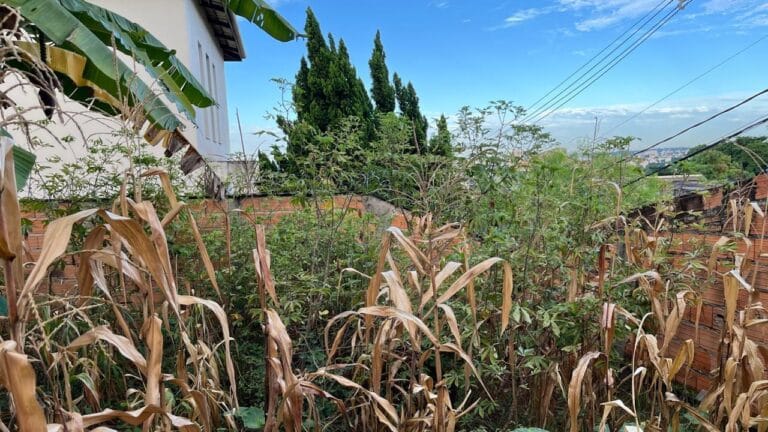 WhatsApp Image 2026-02-24 at 15.32.56 (2)