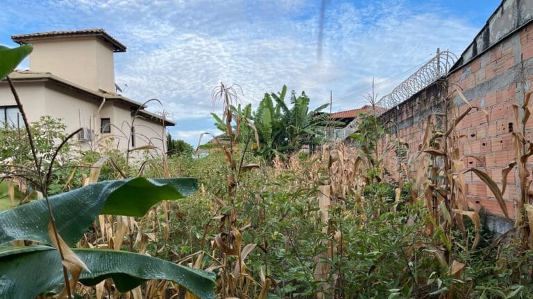 WhatsApp Image 2026-02-24 at 15.32.56